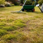 découvrez les astuces de soin printanier pour redonner vie à votre pelouse jaunie et envahie de mousse, en la revitalisant en douceur pour un gazon sain et verdoyant.